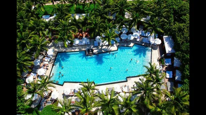 Pool W South Beach Miami