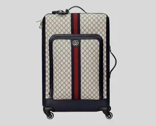 Best Luxury Travel Luggage | Top Designer Bags for Travelers