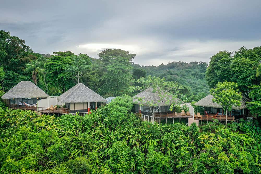 Thatched Lapa Rios bungalows on a forested ridge