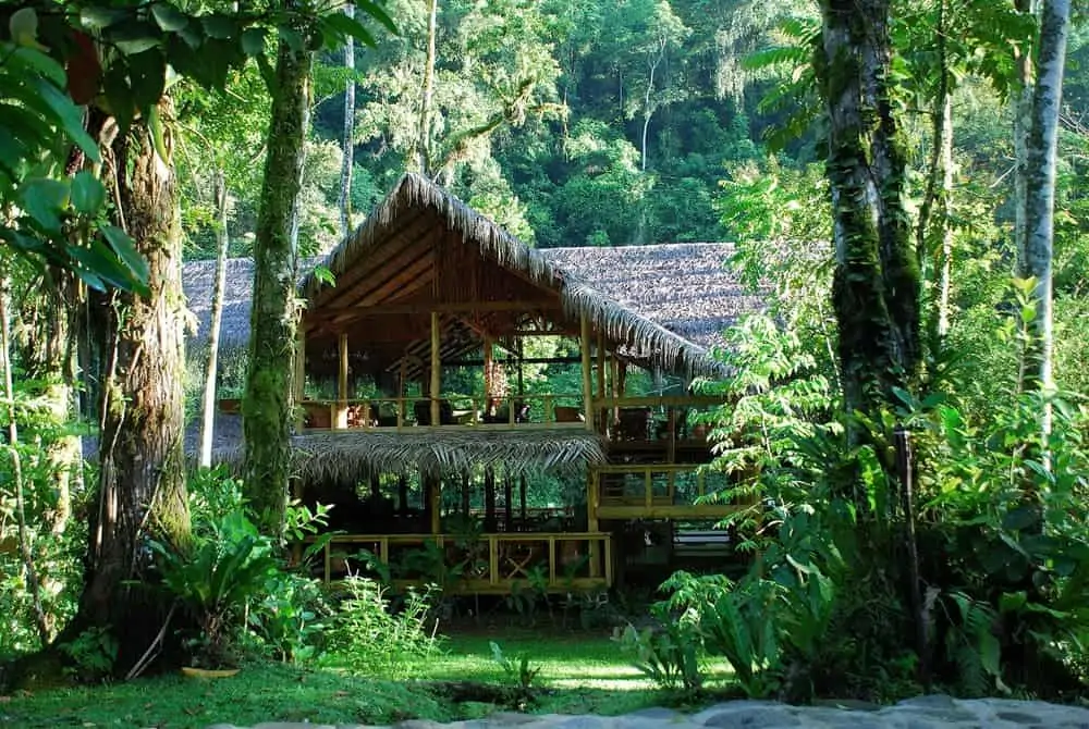 A thatched suite at Pacuare Lodge surrounded by rainforest